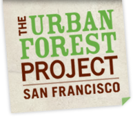 Urban Forest Project San Francisco